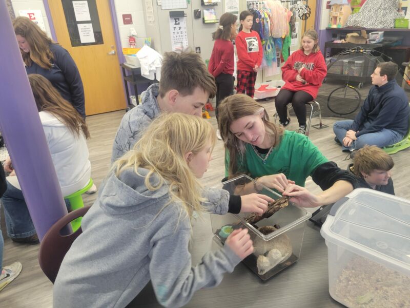 students working with animals