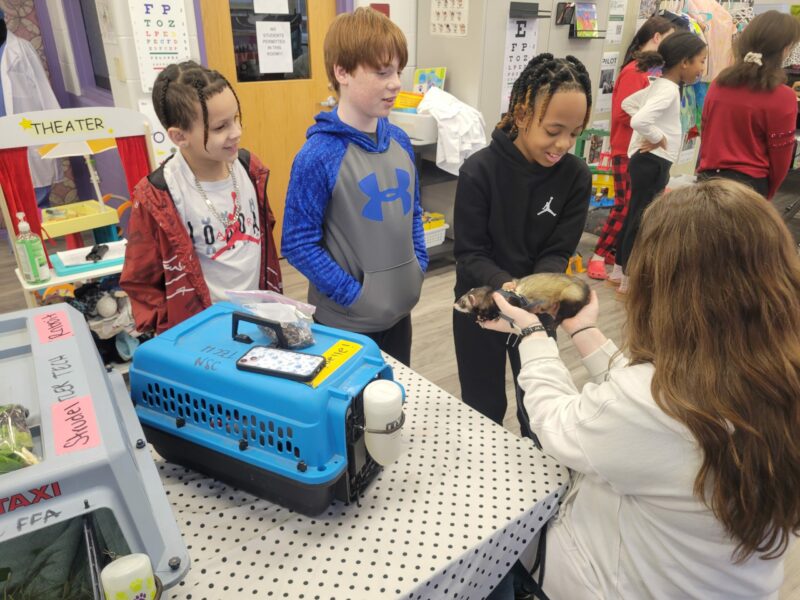 students working with animals