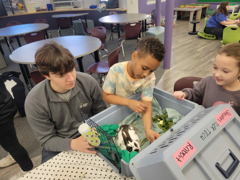 students working with animals