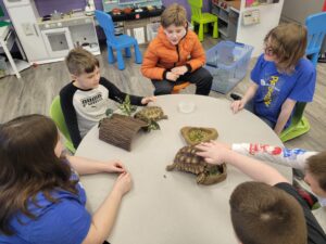 students working with animals