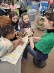 students working with animals