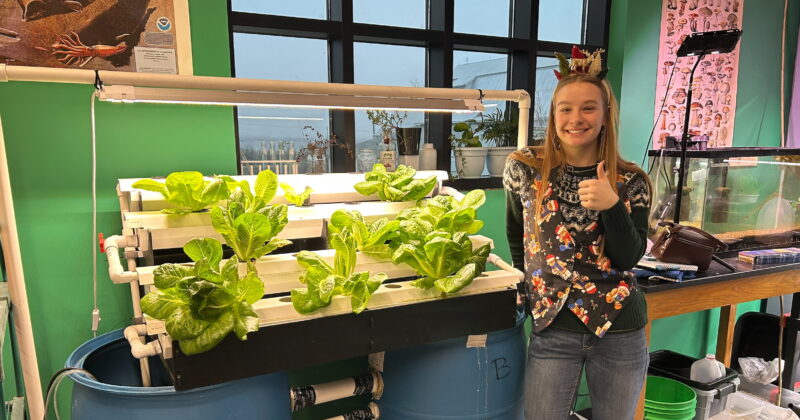 A person wearing a festive hat gives a thumbs up beside a vertical hydroponic garden with green leafy plants. The garden setup includes white trays and blue barrels, situated in a room with green walls and large windows.