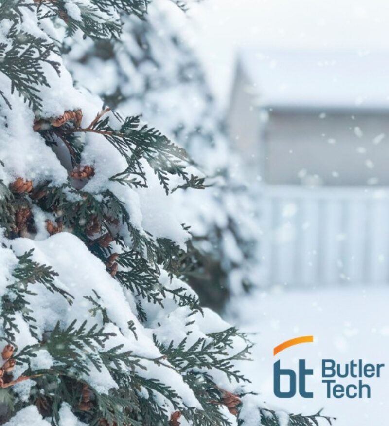 Snow-covered evergreen branches in focus with a blurry, snowy background. The 