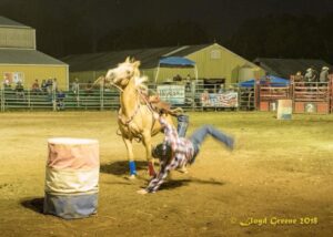 A rodeo rider in a plaid shirt and helmet is falling off Kacee the Wonder Pony near a barrel in an outdoor arena at night, with spectators and buildings in the background, adding to the legacy of thrilling performances.