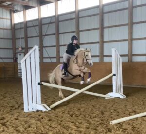 A rider wearing a helmet and riding gear is jumping Kacee the Wonder Pony, a palomino horse, over a cross-rail obstacle inside an indoor riding arena with sandy footing and wooden walls, continuing their legacy.
