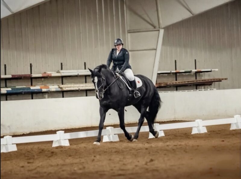 A person in riding gear is riding a black horse inside an indoor arena with sandy ground and white dressage markers, showcasing skills honed through Equine Science—an inspiring scene worthy of an Alumni Spotlight like Lynsey Witt.