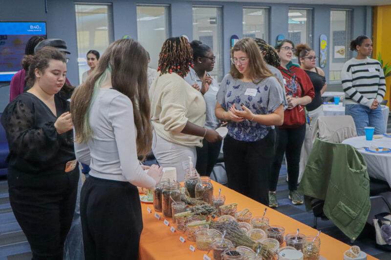 A group of women leaders gathers around a table covered in an orange cloth filled with jars of dried herbs and spices.